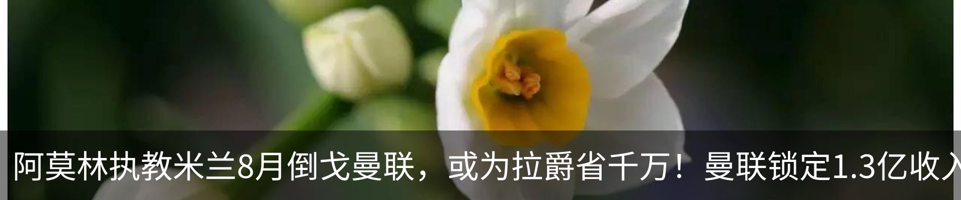 行业资讯
